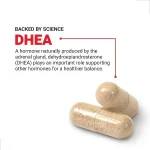دی هیدرواپی آندروسترون DHEA فورس فاکتور 25 میلی گرم 100 عدد - تصویر 3