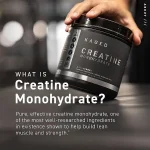 کراتین مونوهیدرات برند کیجد ۵۰۰ گرمی، KAGED Creatine Monohydrate - تصویر 6