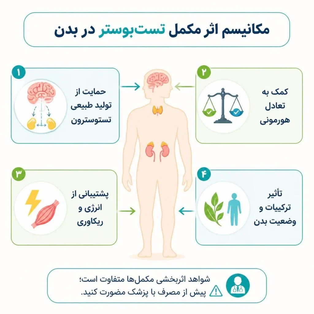 مکانیسم اثر مکمل تست بوستر در بدن چگونه است؟